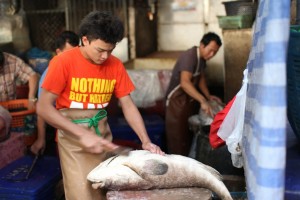 Khlong Toei Market - Fish