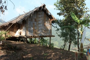 Bamboo Hut