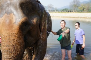 Elephant Shower